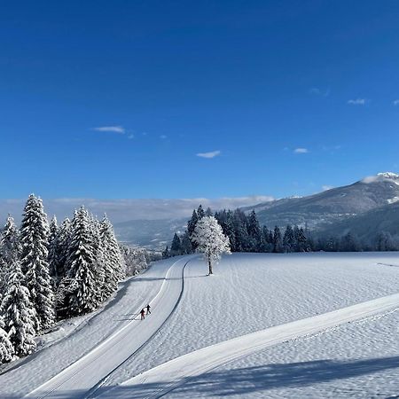 Burglehnerhof Aparthotel Ramsau am Dachstein Εξωτερικό φωτογραφία