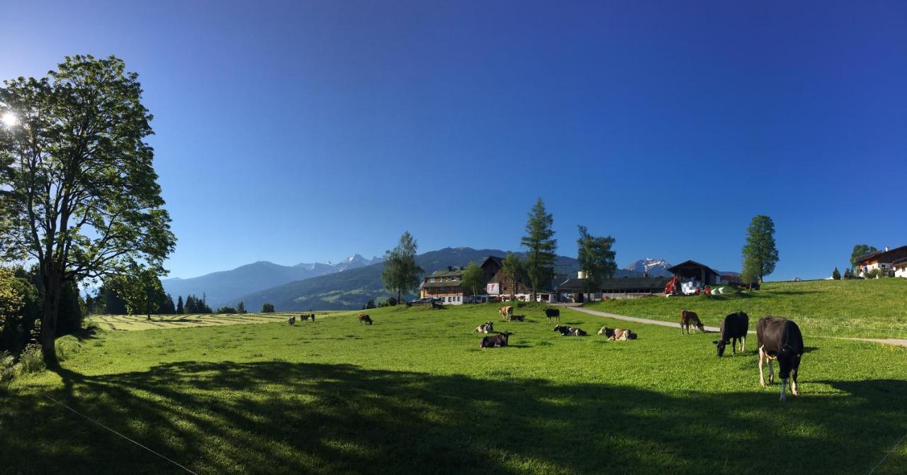 Burglehnerhof Aparthotel Ramsau am Dachstein Εξωτερικό φωτογραφία