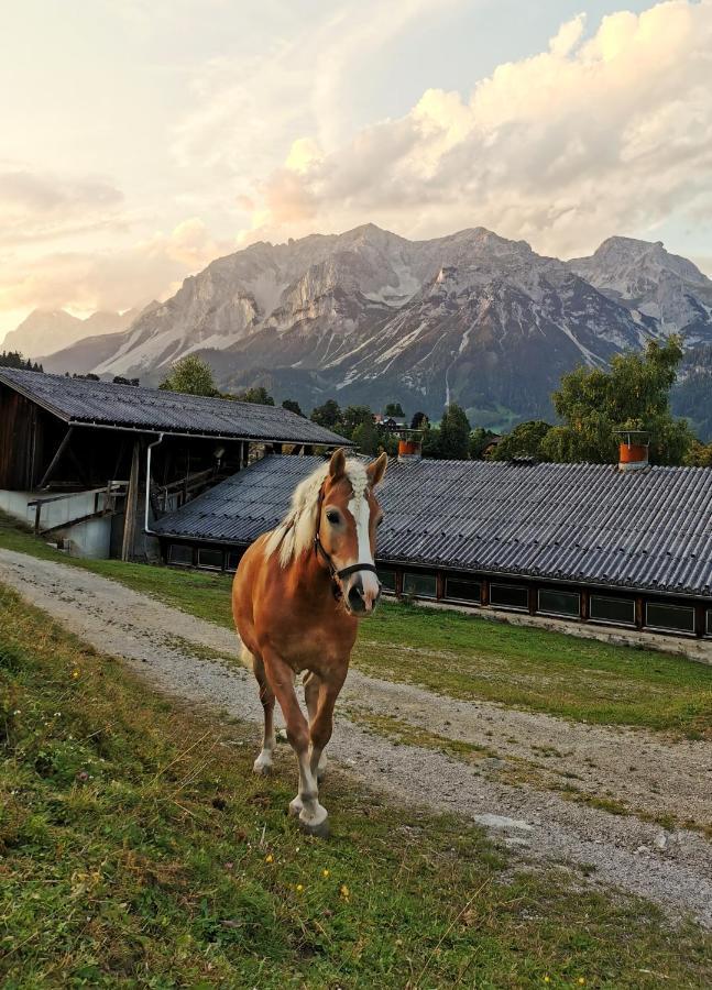 Burglehnerhof Aparthotel Ramsau am Dachstein Εξωτερικό φωτογραφία
