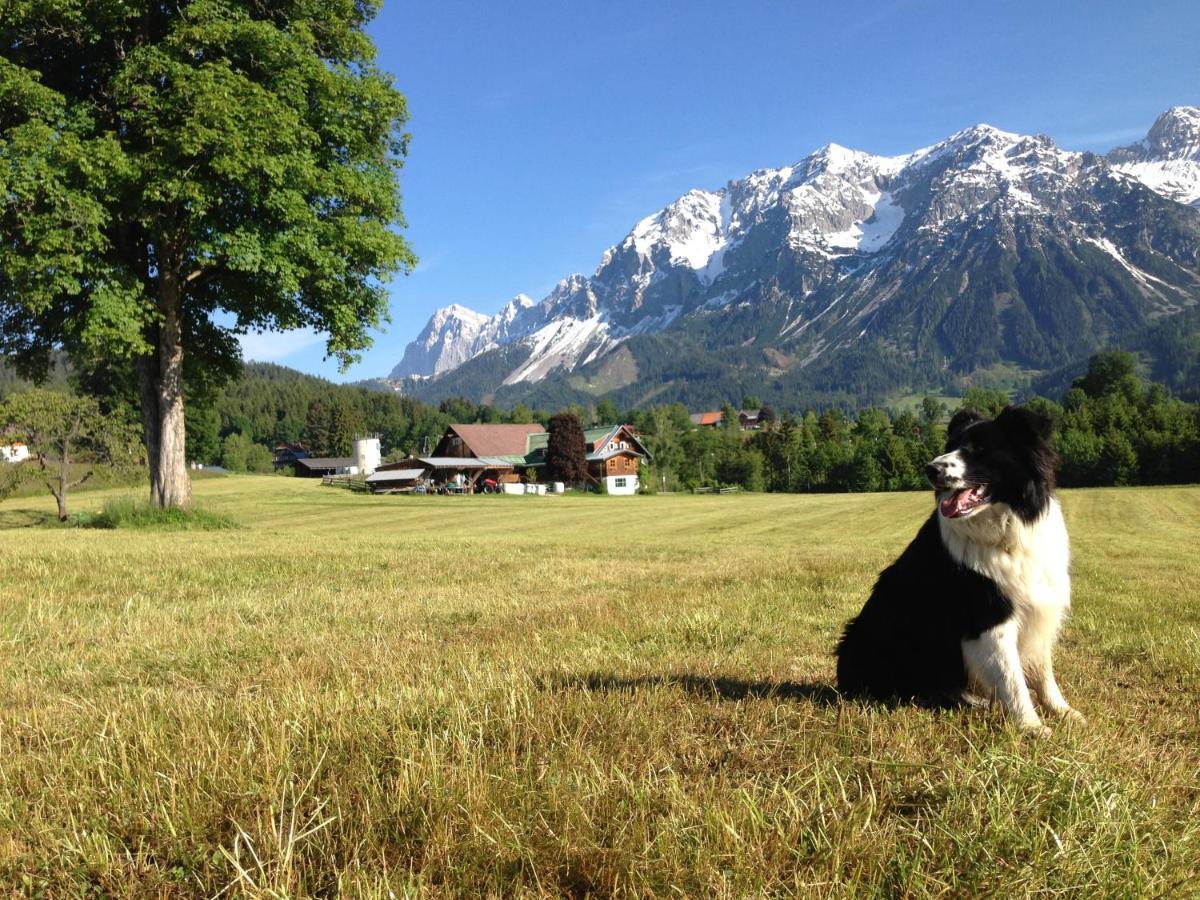 Burglehnerhof Aparthotel Ramsau am Dachstein Εξωτερικό φωτογραφία