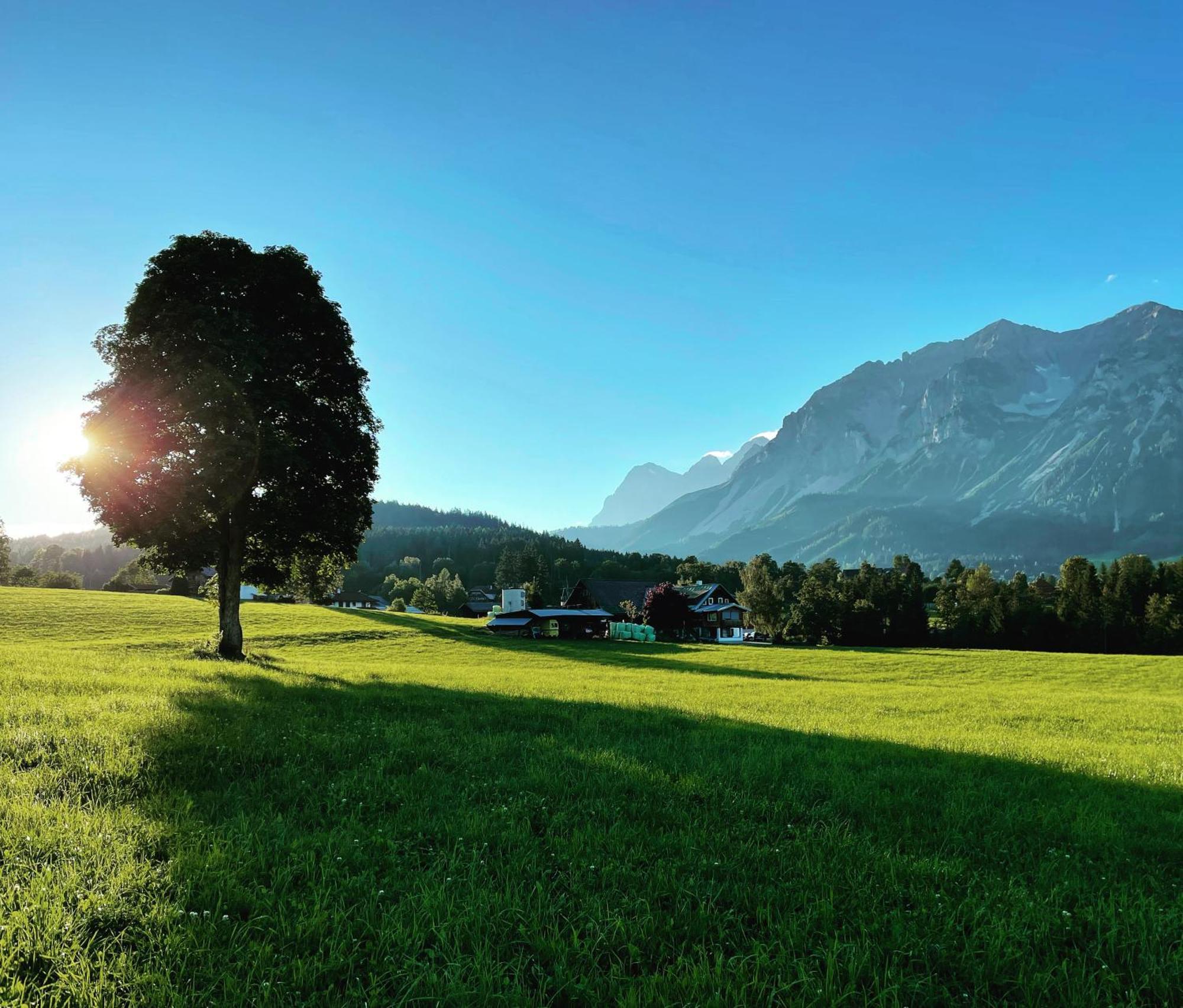 Burglehnerhof Aparthotel Ramsau am Dachstein Εξωτερικό φωτογραφία