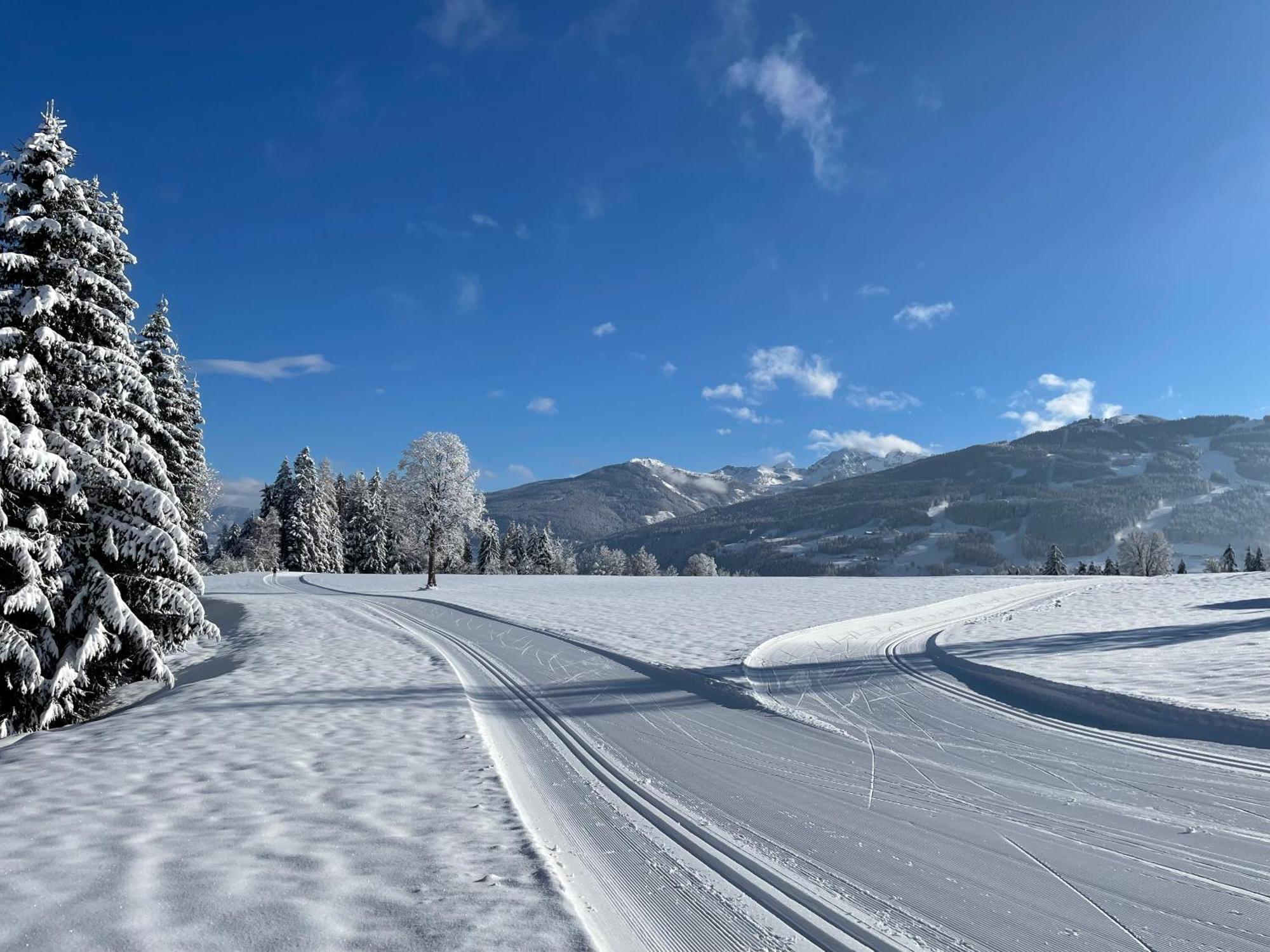 Burglehnerhof Aparthotel Ramsau am Dachstein Εξωτερικό φωτογραφία